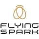 פליינג ספארק בע"מ לוגו